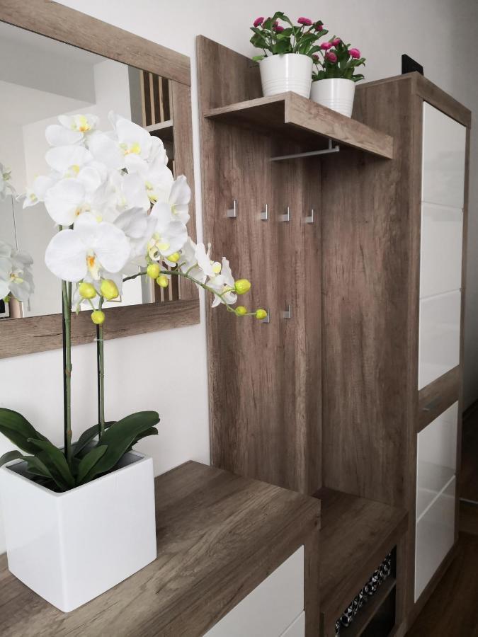 Apartma Slomskova *